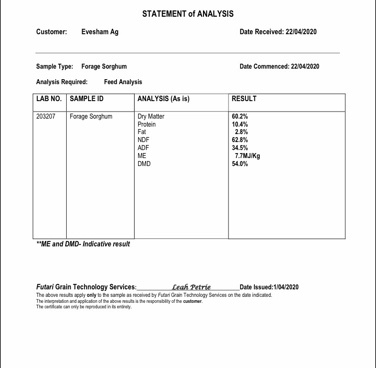 Forage Sorghum. 8x4x3 Bales 400 mt