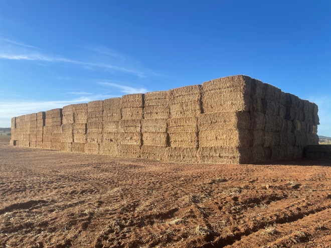 OATEN STRAW DEC 2020