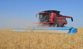 Shelbourne Reynolds stripper front