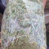 Oaten Hay 450-500kg 5x4 Rolls