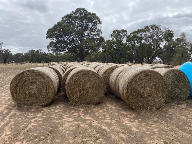 Oaten Hay Rolls