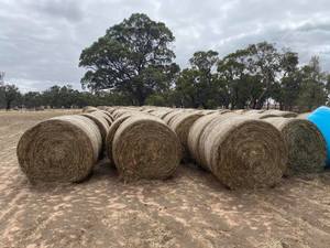 Oaten Hay Rolls