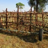 42ft  Folding Harrows, 15 Leaf, Hydraulic lift