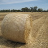 Oaten Hay