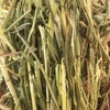 240mt Oaten Hay 650kg 8x4x3 Bales
