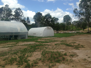 Greenhouses,(Polytunnels)