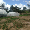 Greenhouses,(Polytunnels)
