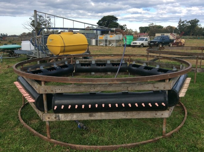 4 Calf Feeder System 