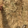 200mt Oat/Rye/Clover Hay 8x4x3 Bales