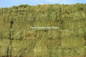 Pasture Hay Small Squares 400 x 25 cents per bale