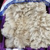 Herd Reduction Sales