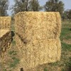  Barley Straw Header Tailings 8x4x3 bales