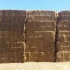 500mt Pasture Hay 8x4x3 