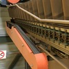 Melon Packing Line 