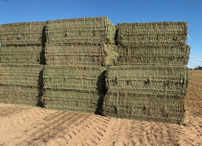 New Season Vetch Hay 8x4x3 Bales (3 - B Double Loads)