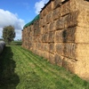 Canola Hay  2 x B Double loads