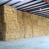 Wheat straw in small square bales