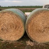 Wheaten Straw 5x4 Bales 