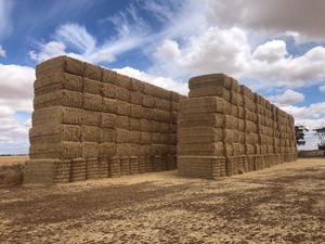 86mt header trail Barley Straw 510kg+ 8x4x3 Bales