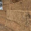 Oaten Hay 8x4x3 bales - Horse quality 