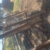 Sheep Yard Panels