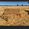 Wheaten Straw Bales 