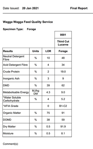 45mt Lucerne Hay 640kg 8x4x3 Bales (3rd cut)