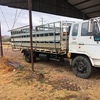 1988 Isuzu FSR11 Truck with stock crate