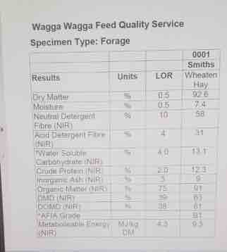 Conditioned Wheaten hay in 8x4x3 Bales