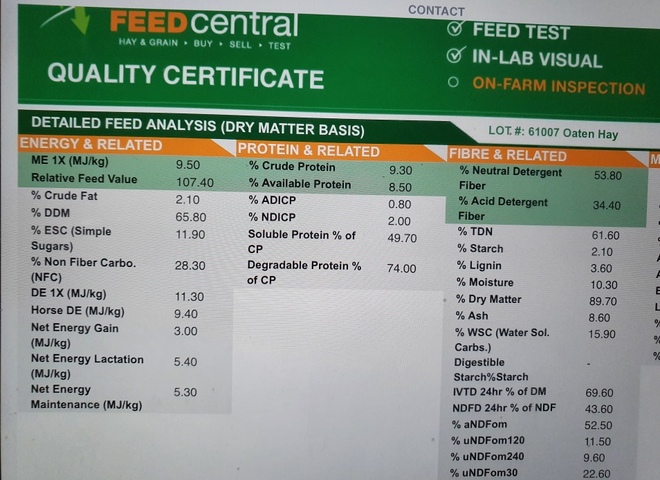 200mt Oaten Hay 600kg 8x4x3 Bales ex farm