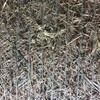 Wheat, Vetch and pasture hay