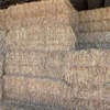 150 8x4x3 Bales of SSS Pasture Hay 730 Kg's Shedded