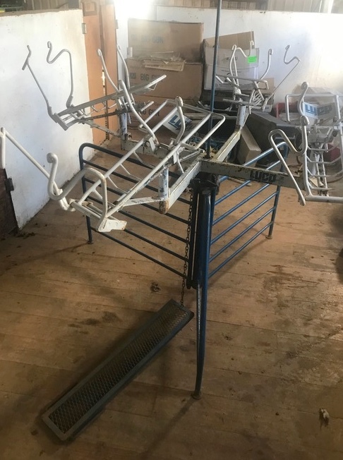 Lyco 4 Stand Marking Cradle