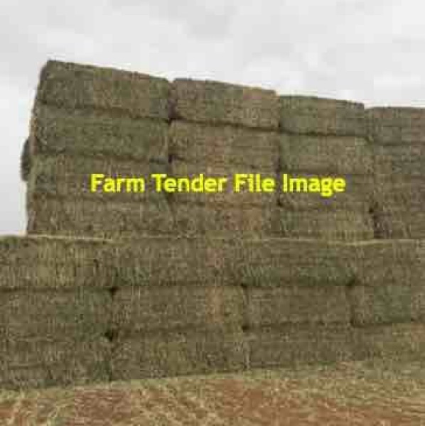 New Season Wheaten Hay