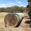 Premium Hay