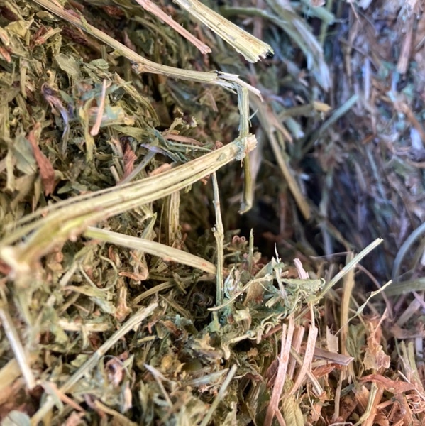 130mt Vetch Hay 8x4x3