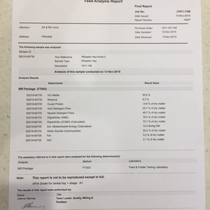 wheaten hay for sale