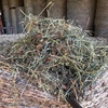 120 Ryegrass & Clover Hay  4'8