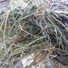 Vetch/Pasture Hay Rolls