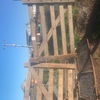 Pair of Wooden Gates