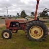 David Brown 990 Tractor