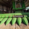 2009 John Deere 1255A 30ft Bean Front