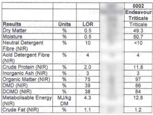 120 m/t of Triticale For Sale
