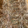 Oaten Hay Small Squares