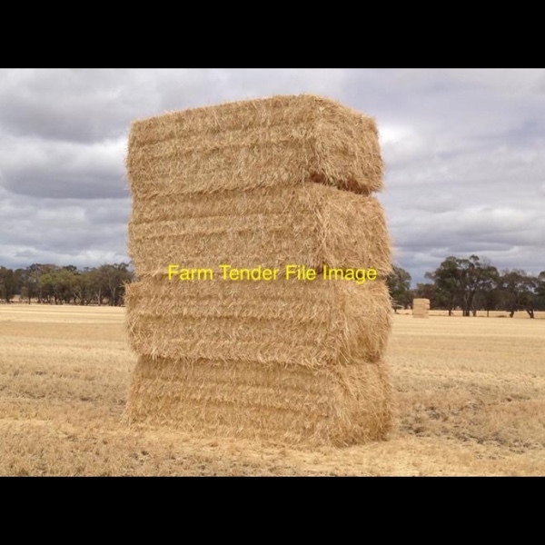 19’ season header trail straw