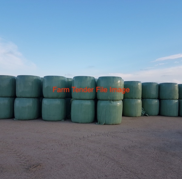 Lucerne Silage
