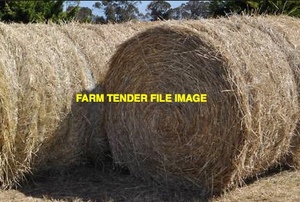 Jivet & Tetrone Rye Grass Hay 4x4 Rolls