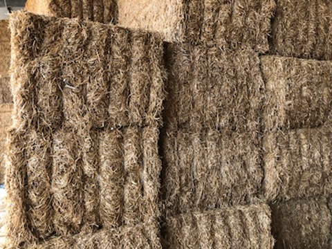 2019 Vetch Hay 8x4x3 HD