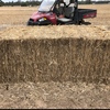 Canola Straw Bales 8x4x3