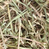2020 Oaten Hay 5x4 Rolls